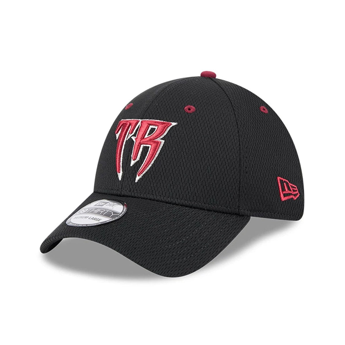 Timber Rattlers MiLB Batting Practice Black 39THIRTY Stretch Fit Cap-zelvios