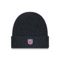 Philadelphia Eagles NFL Sideline Charcoal Cuff knit Beanie Hat-zelvios
