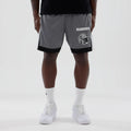 Las Vegas Raiders NFL Grey Mesh Shorts-zelvios