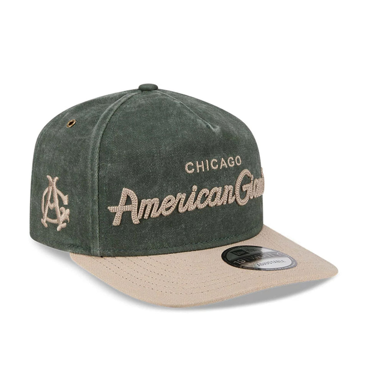 Chicago American Giants MLB Negro League Dark Green 19TWENTY Adjustable Cap-zelvios