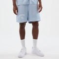 New York Yankees MLB Woven Pastel Blue Shorts-zelvios